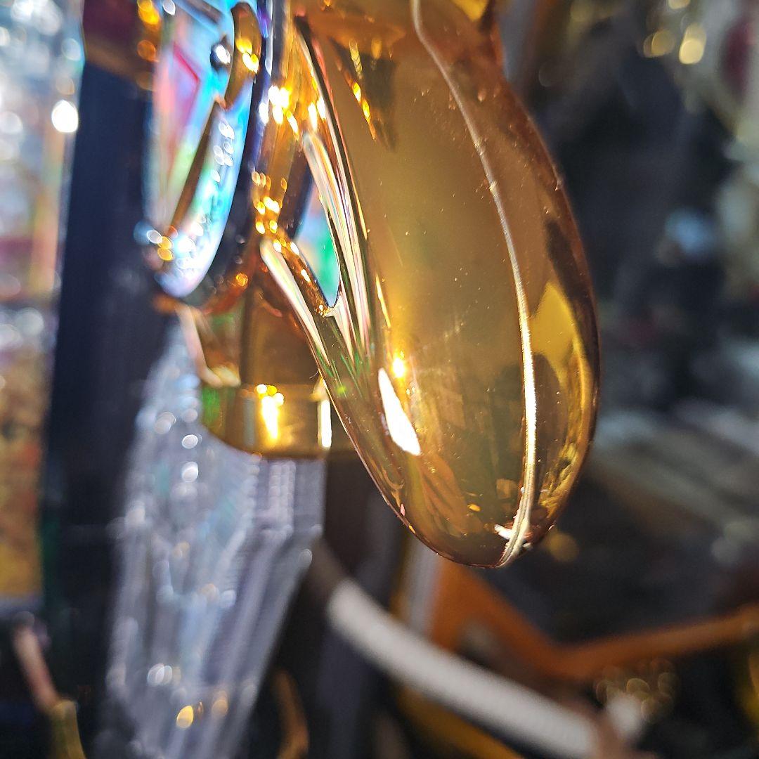 raja【ご自宅まで発送も可能】P牙狼11〜冴島大河〜XX-MU