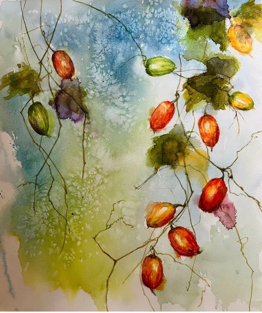 カラスウリ　水彩画　原画