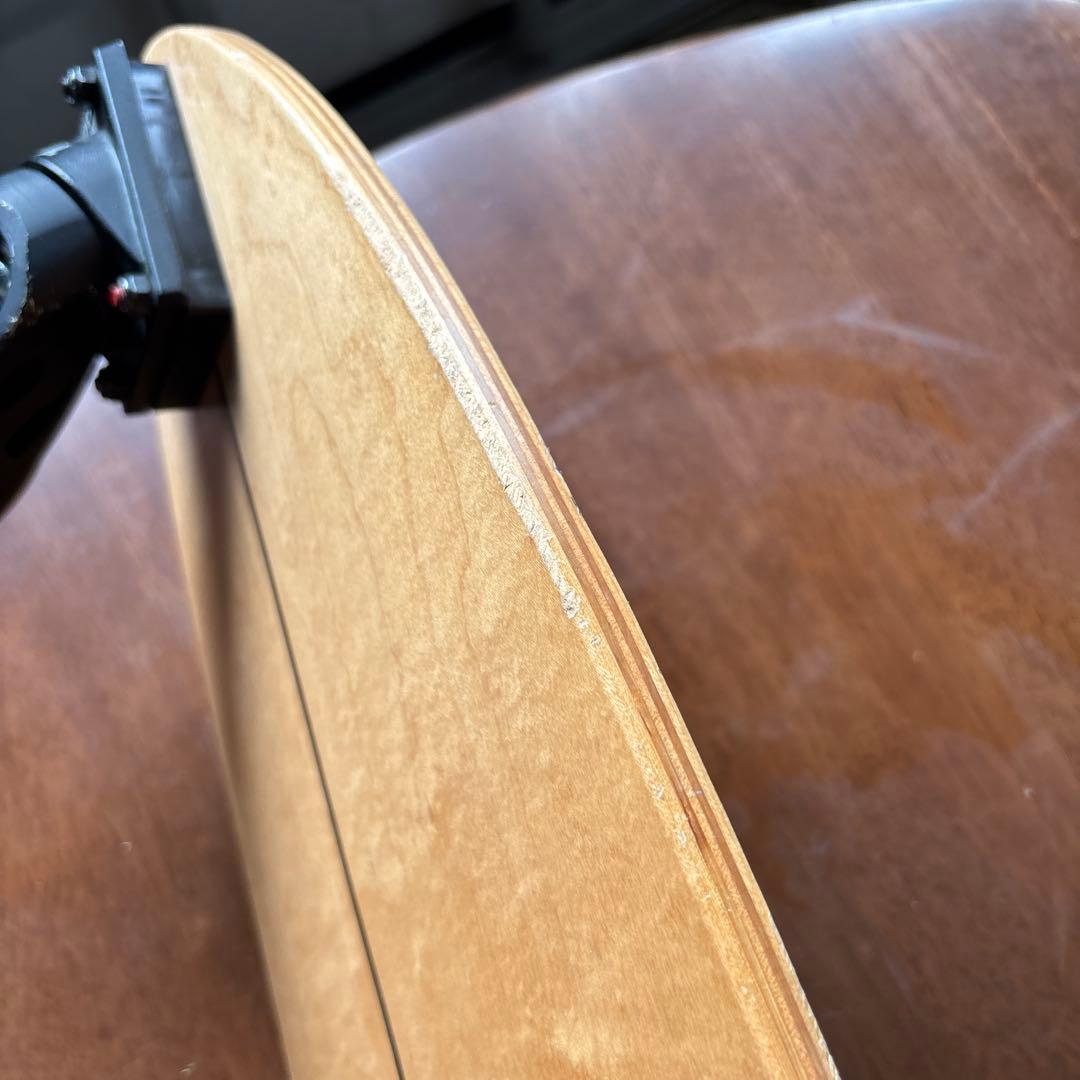 TRYWHEEL FISH スケートボード