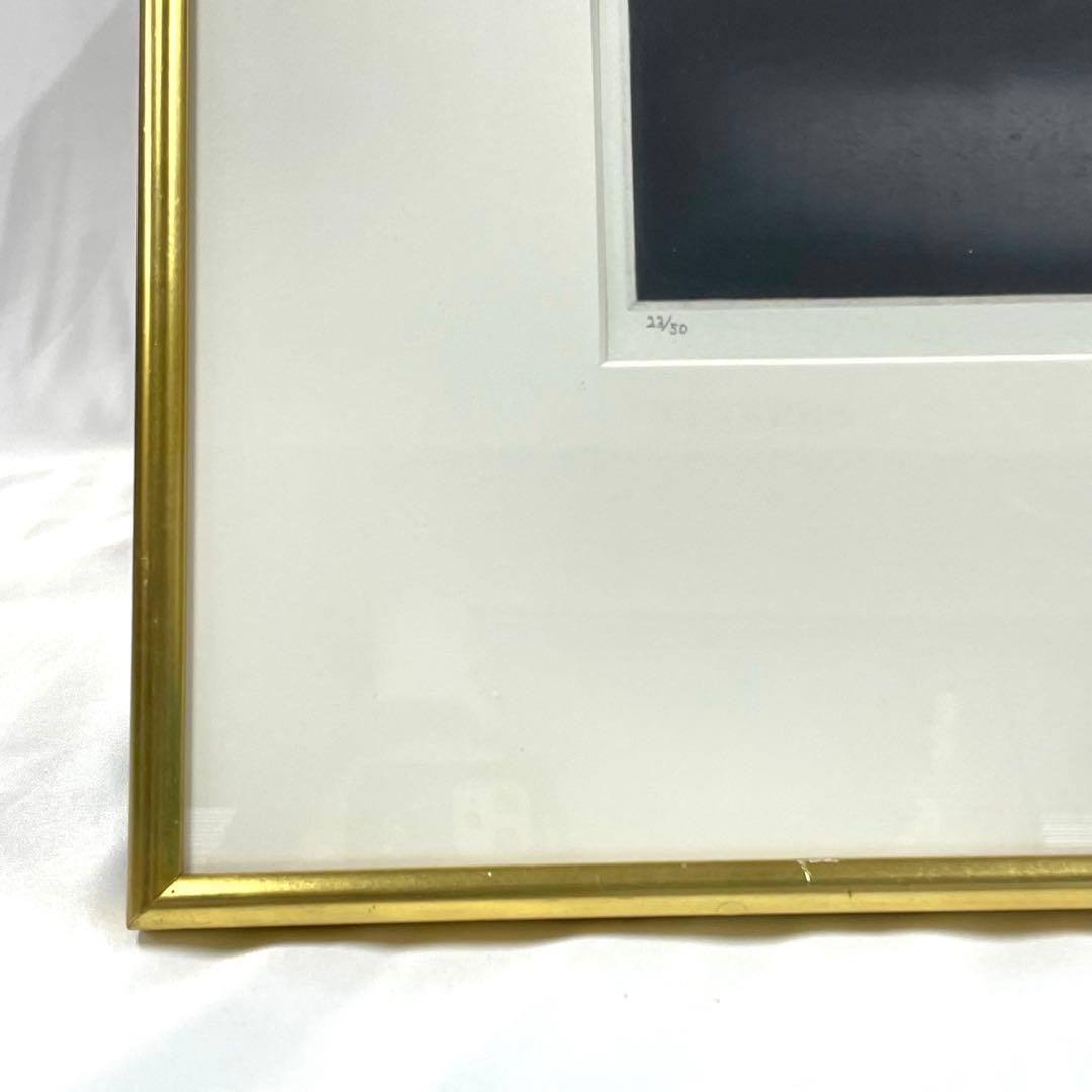 S1-M0187丹阿弥丹波子 リトグラフ 絵画　花’81　サイン付き　23／50