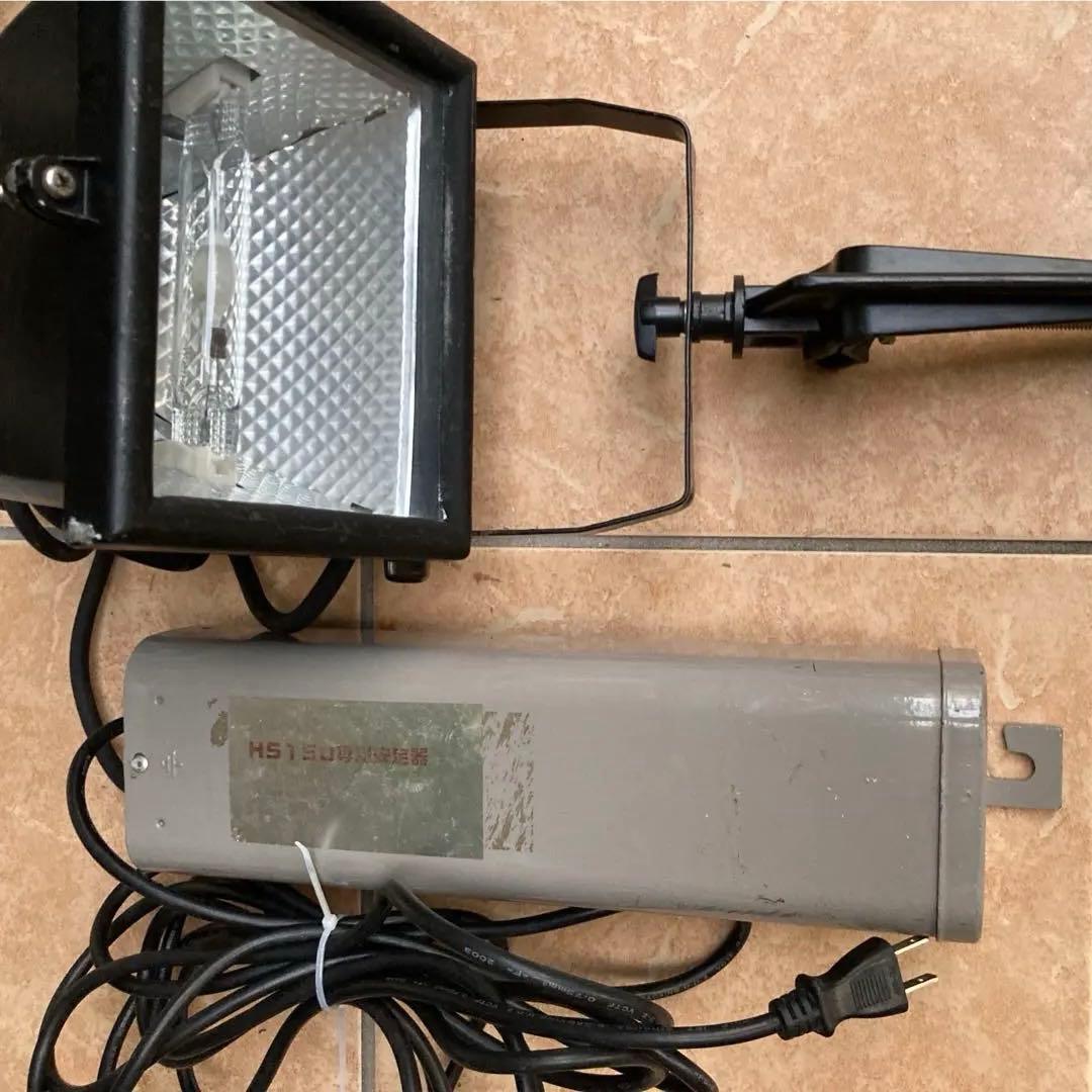 メタハラ　可動品　トカゲ　カメ　海水魚