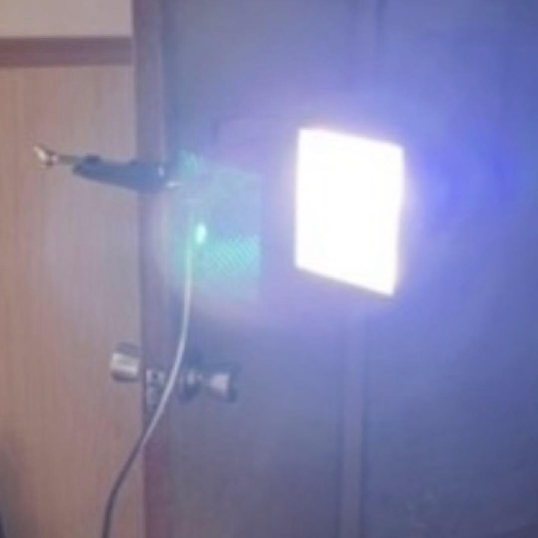 メタハラ　可動品　トカゲ　カメ　海水魚