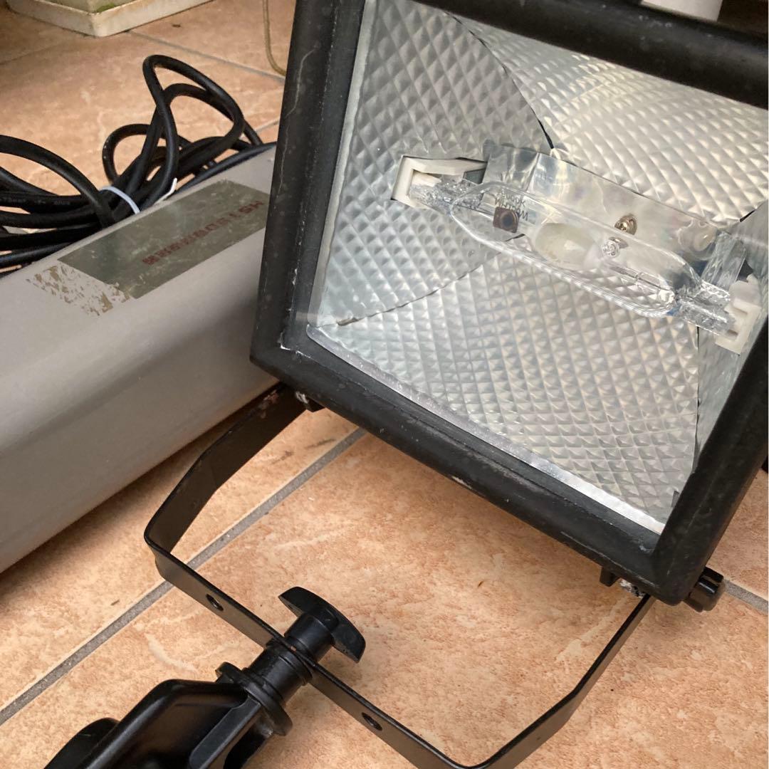 メタハラ　可動品　トカゲ　カメ　海水魚