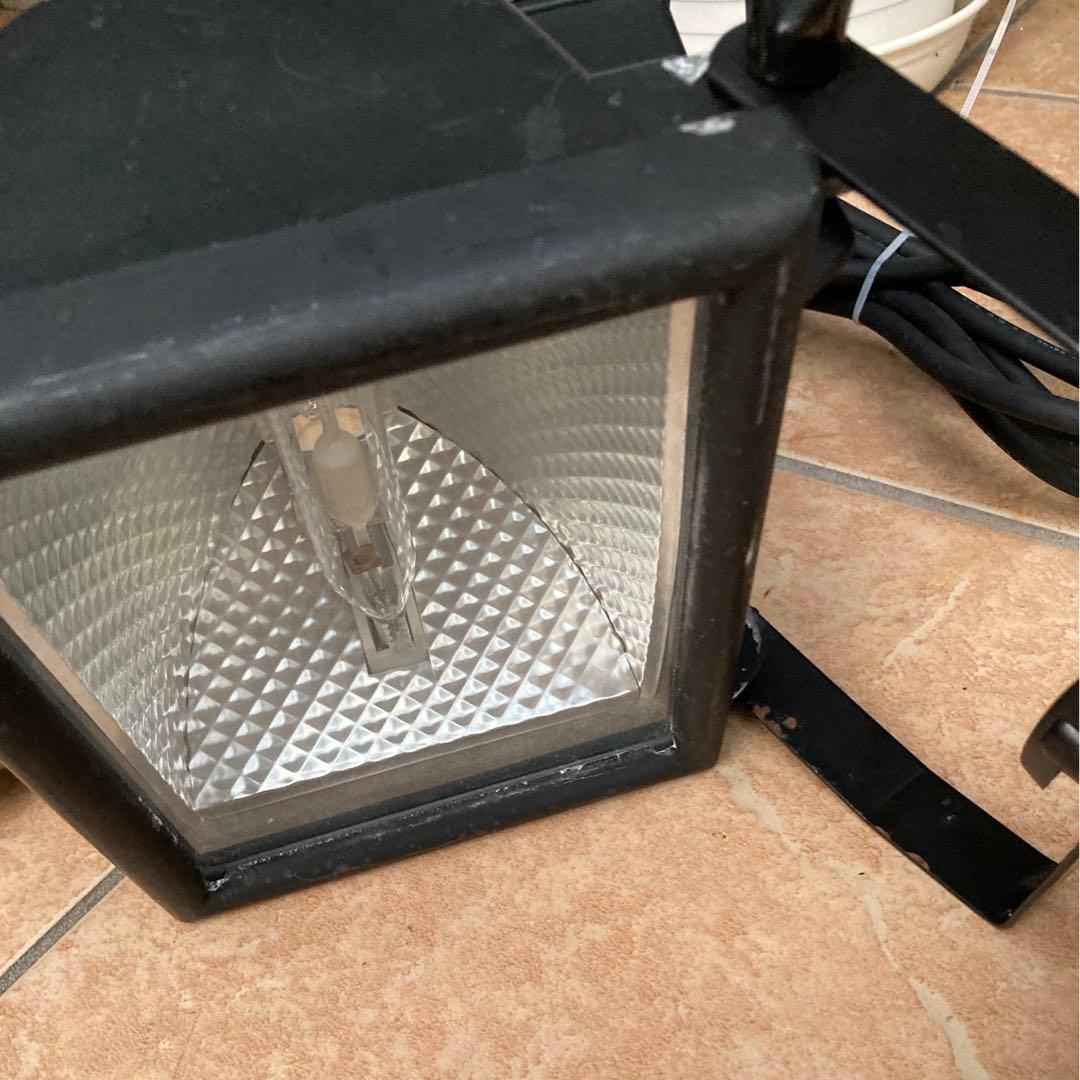 メタハラ　可動品　トカゲ　カメ　海水魚