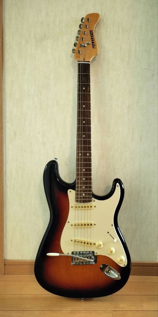 ソフトカバー付きエレキギターFERNANDES