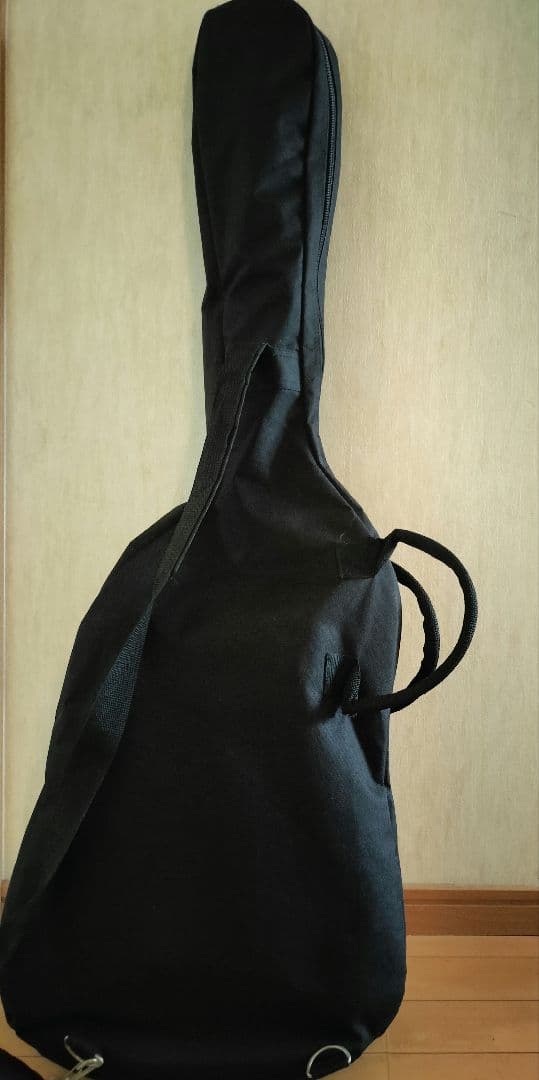 ソフトカバー付きエレキギターFERNANDES