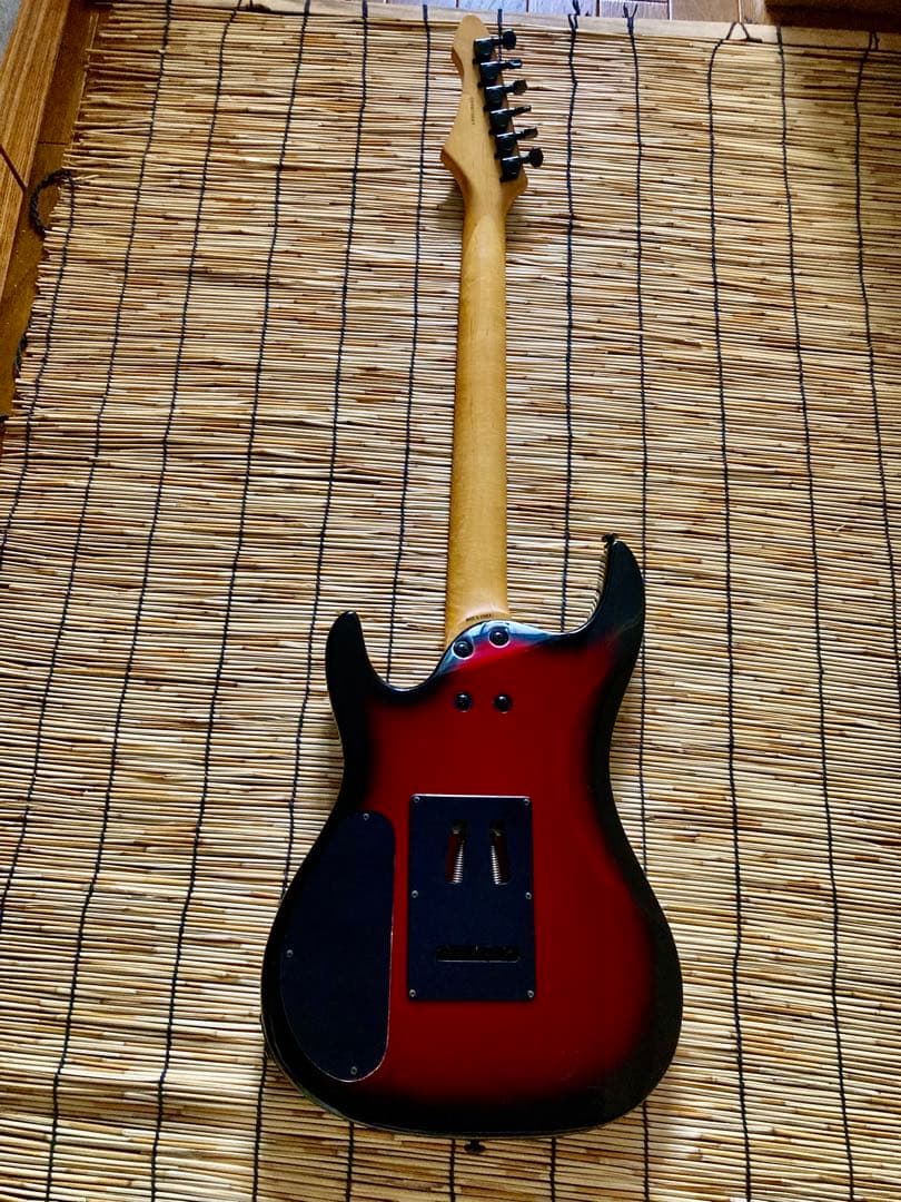 ☆他に類を見ない貴方だけの一本　AriaProⅡ MAGNA HSH ST