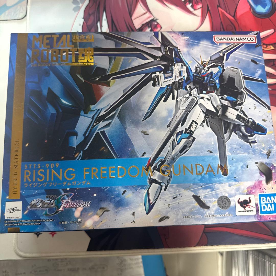 メタルロボット魂　ライジングフリーダムガンダム