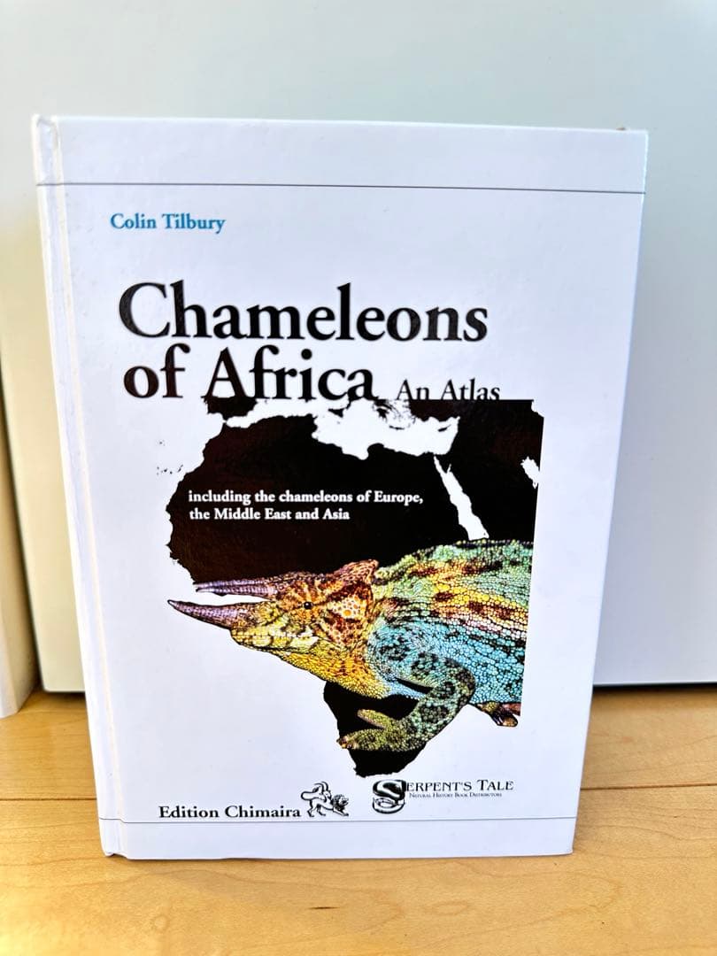 ニッタンプロフ確認　Chameleons of Africa