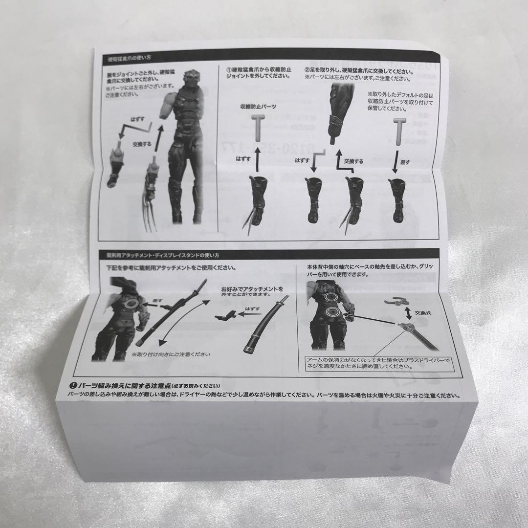 アメイジング・ヤマグチ リュウ・ハヤブサ 「NINJA GAIDEN」