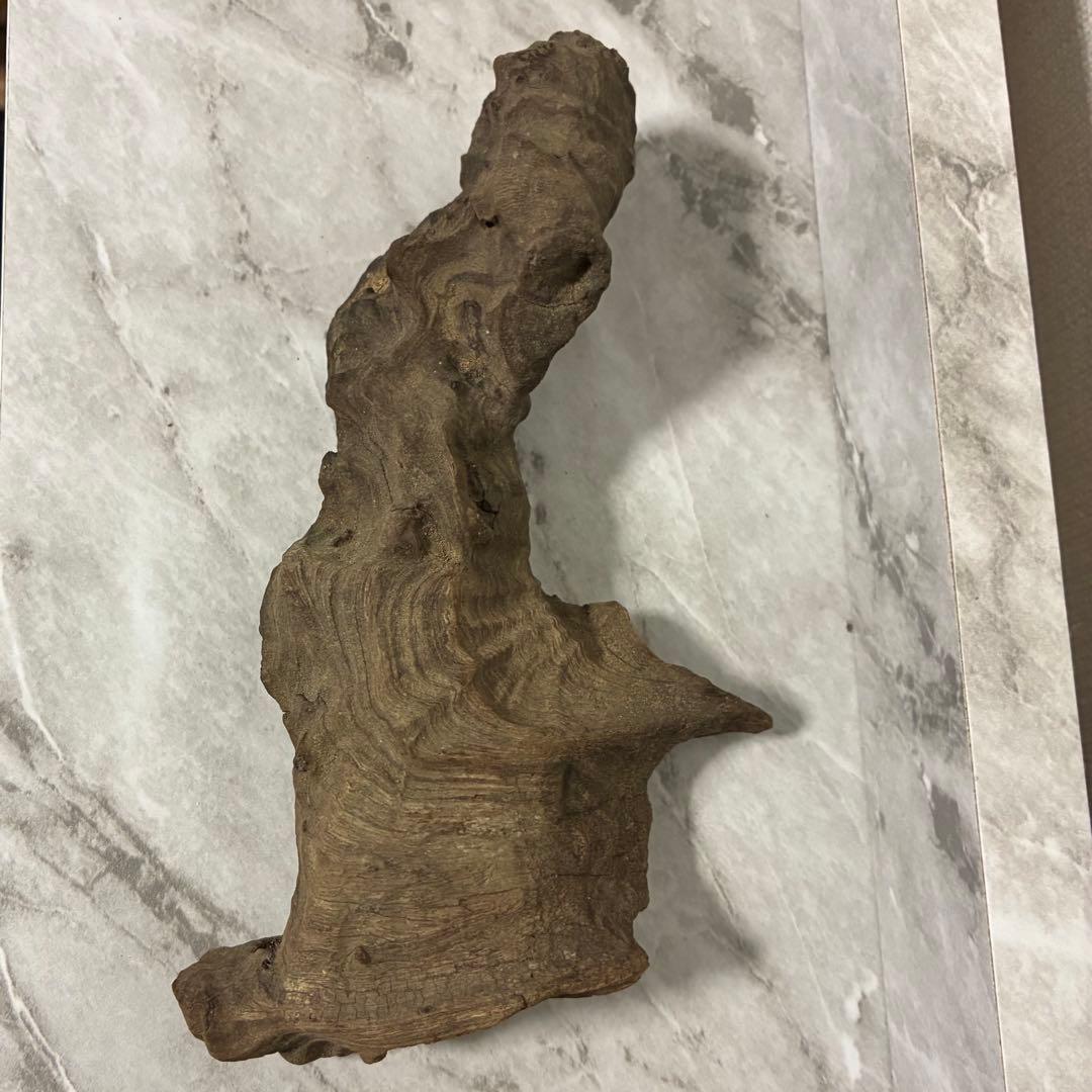 水槽用流木 自然な形状 熱帯魚　約18cm