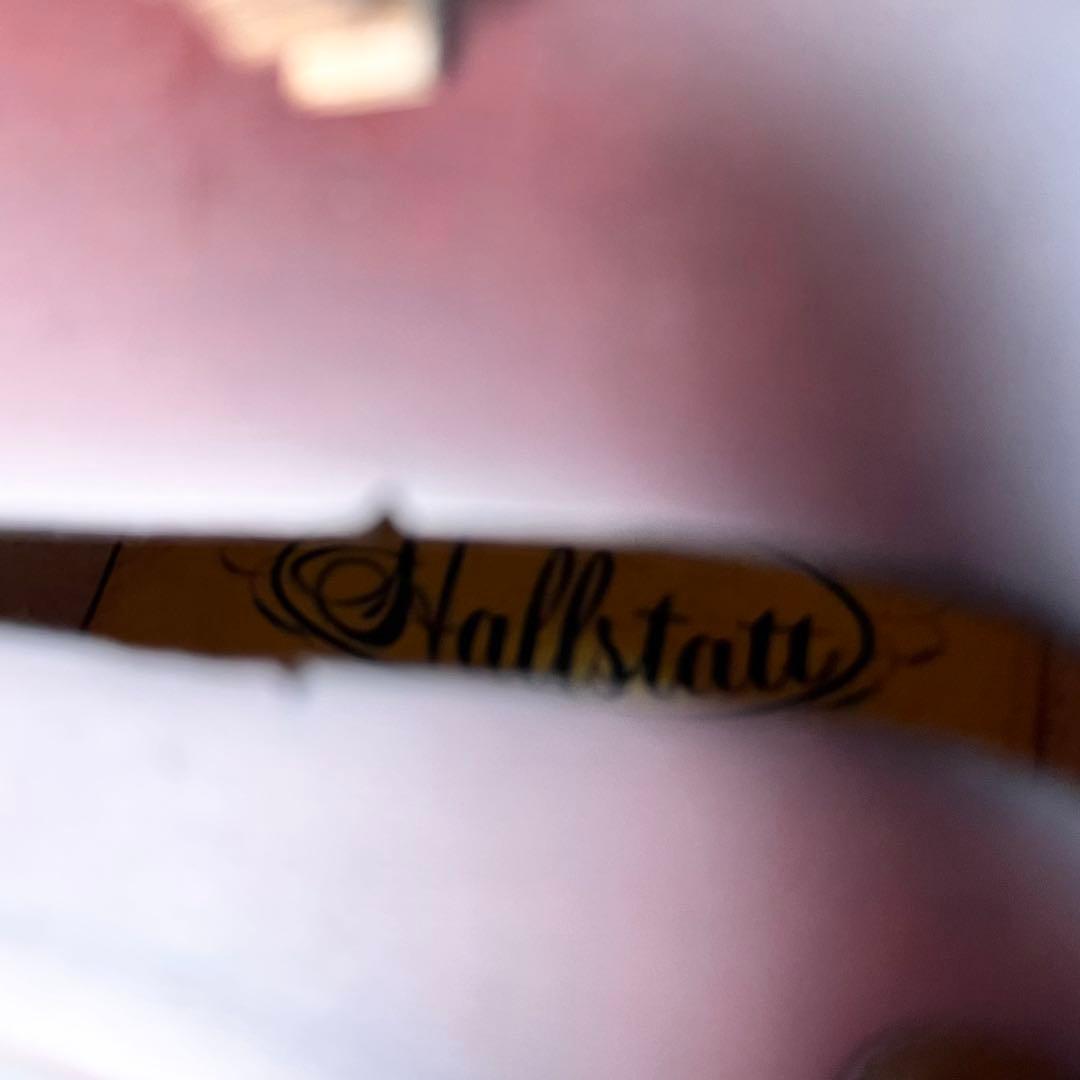 Hallstatt V-12 4/4 バイオリン 本体 ケース付き ヴァイオリン