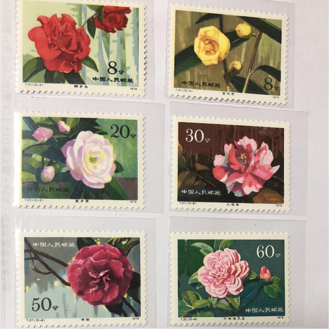 新春セール 中華人民共和国切手 山茶花 1979年 美品