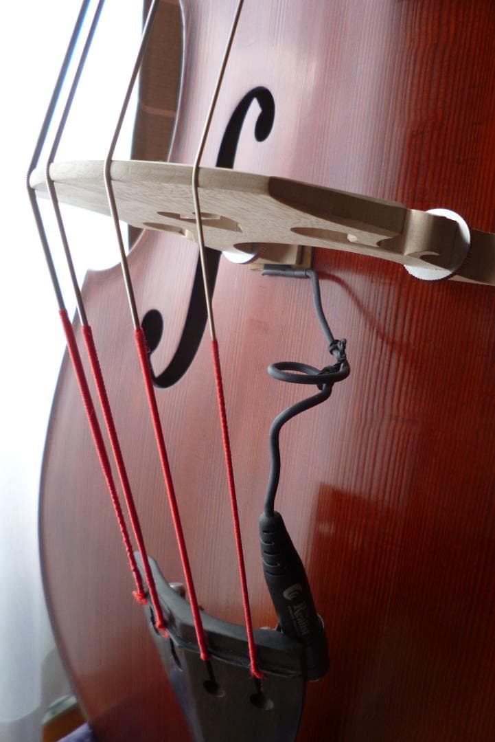 【直接手渡限定】GLIGA コントラバス GemsⅡ 2021製 Size3/4