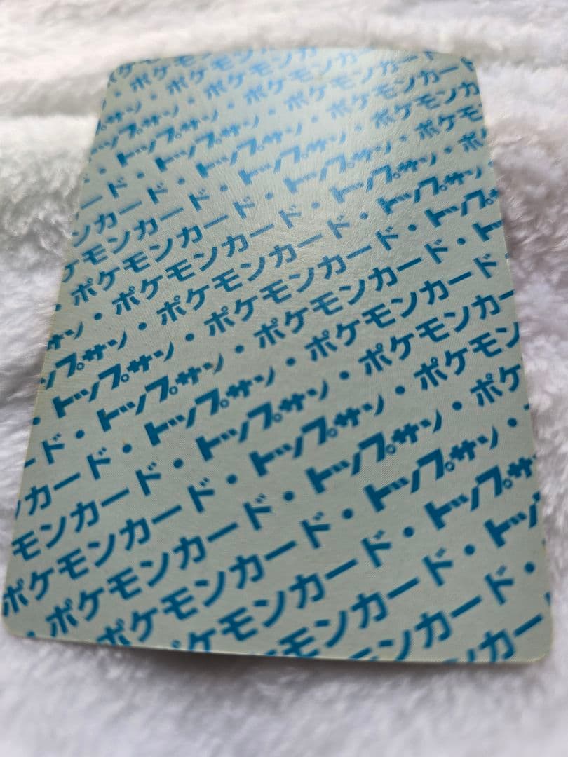 トップサン　リザードン「入札する前に必ず確認を」