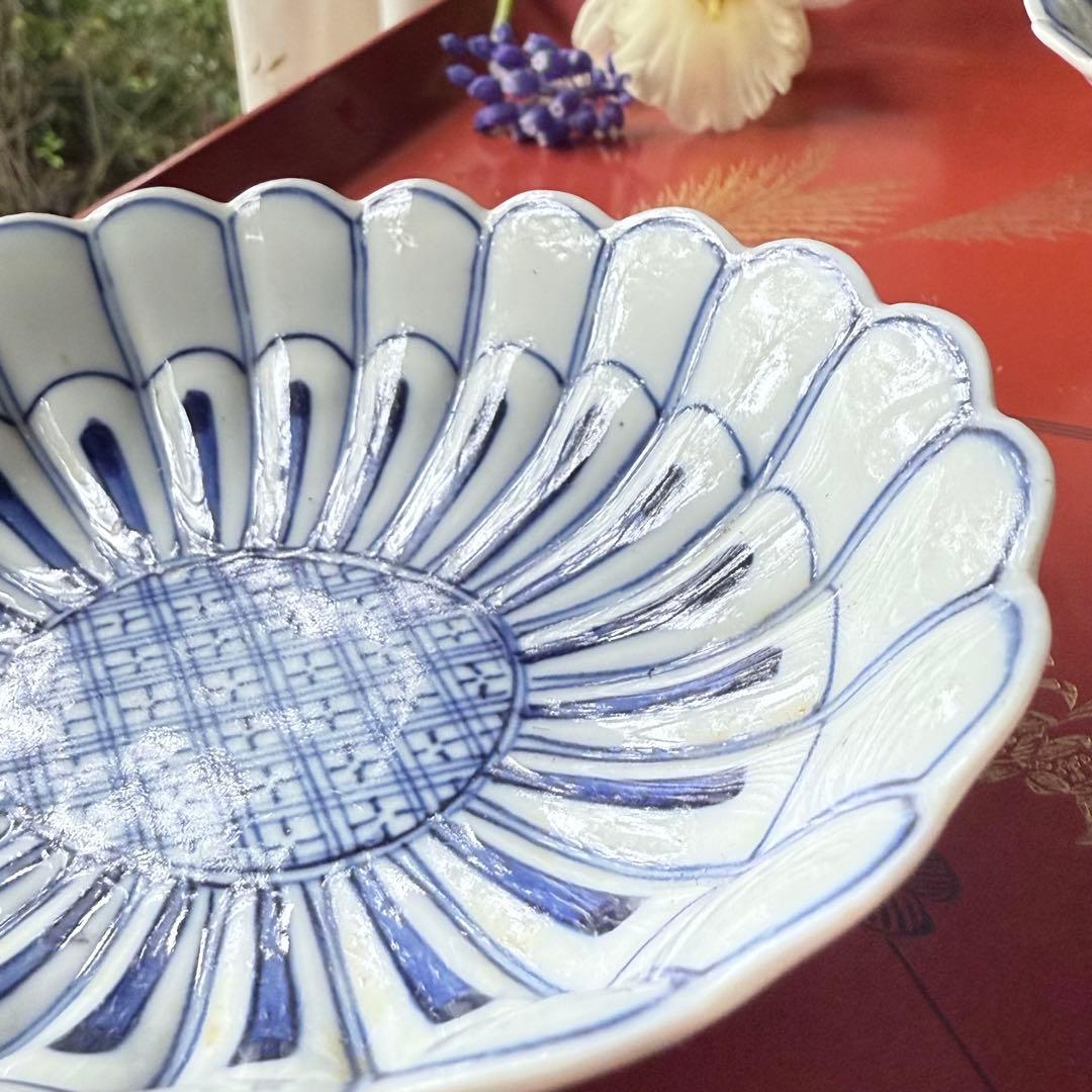 2154様感謝‼️清楚BLUE ‼️古伊万里すがすがしい花びらもりもり小判形菊皿5客