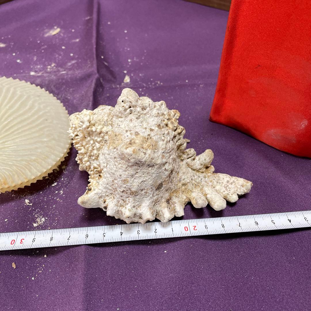 大型　オブジェ