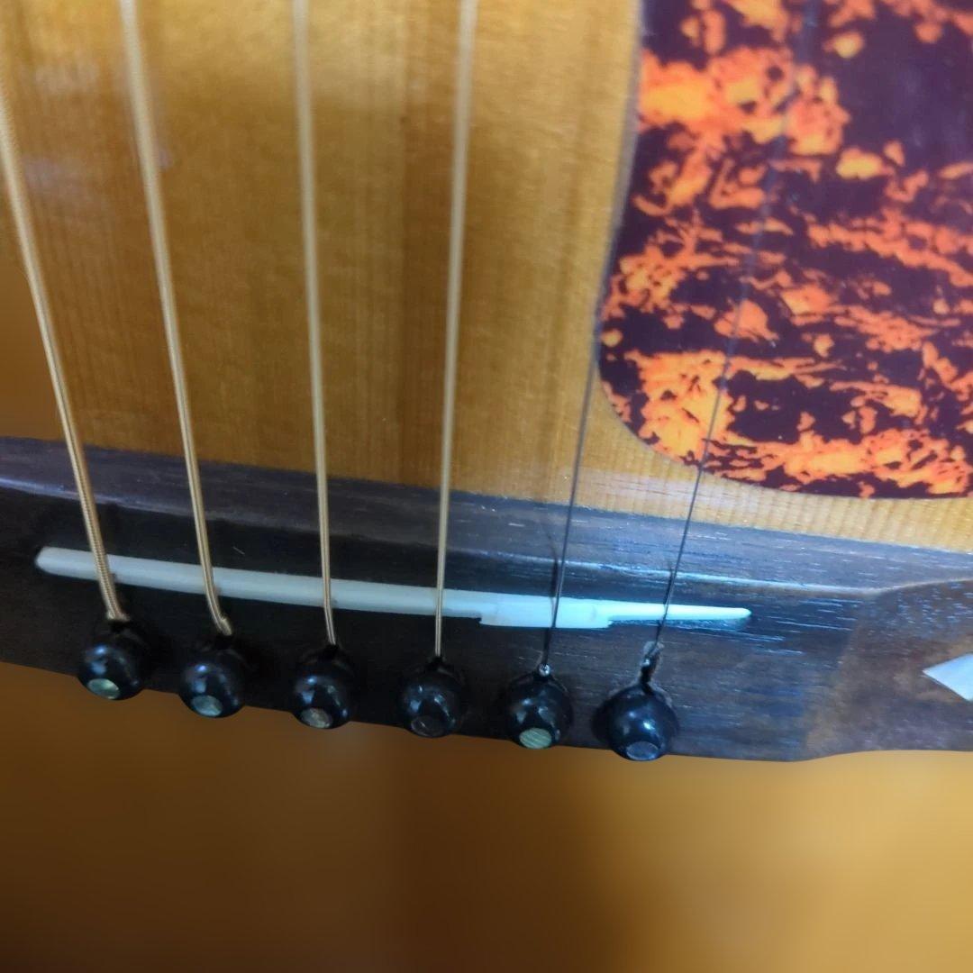 ARIA.希少ADL-05N トップ単板アコースティック ギター