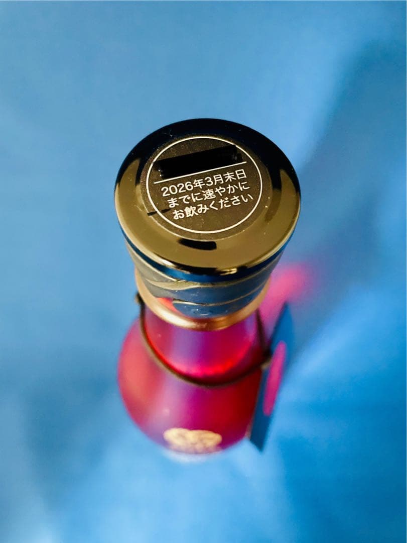 新政　NO.6 New Year Type 2026年