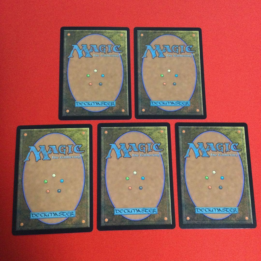 乾燥台地 湿地の干潟 霧深い雨林 沸騰する小湖 新緑の地下墓地 各１枚セット