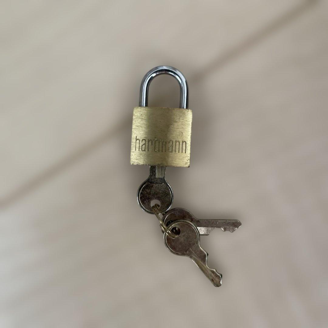 D*須様 ハートマン　キャリーバッグ　希少品　レトロ