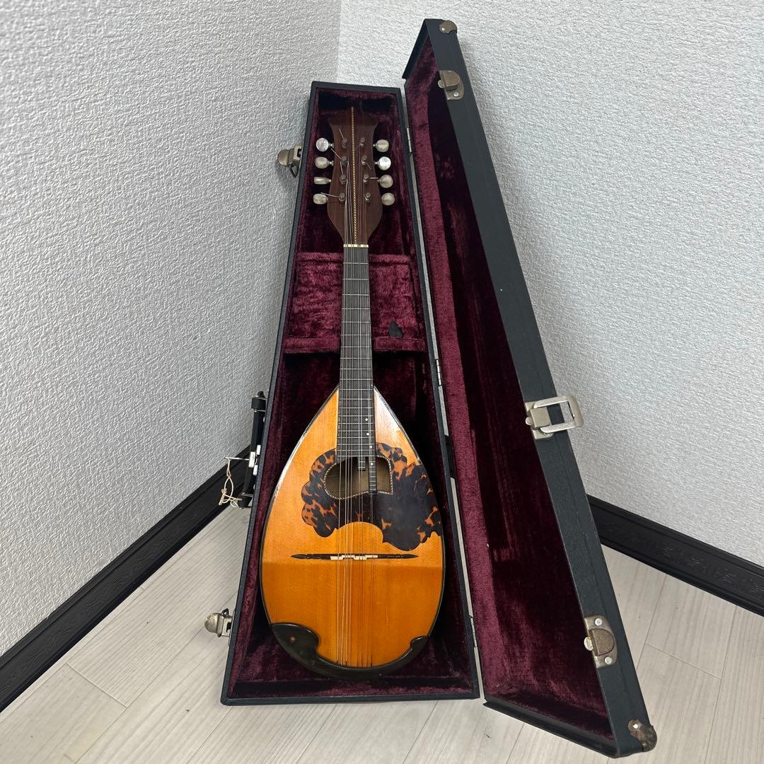 S. Watanabe No.50 Anno1971 渡辺精次 鼈甲多 ※31※