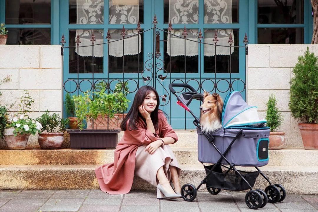 Ibiyaya　ペット用カート　ストローラー　FS1617-R　【平行輸入品】