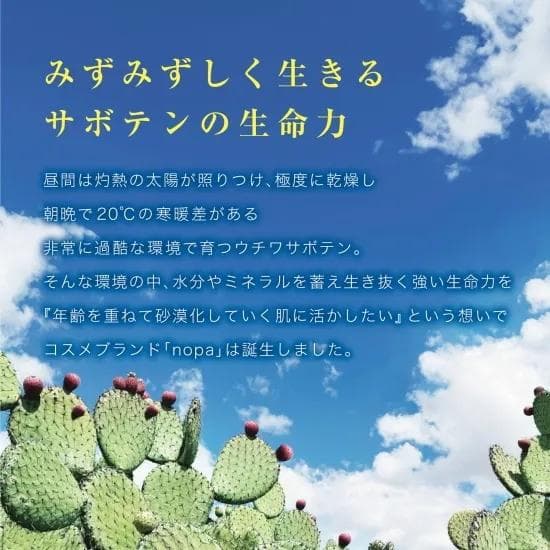 nopa ビューティーボックスセット