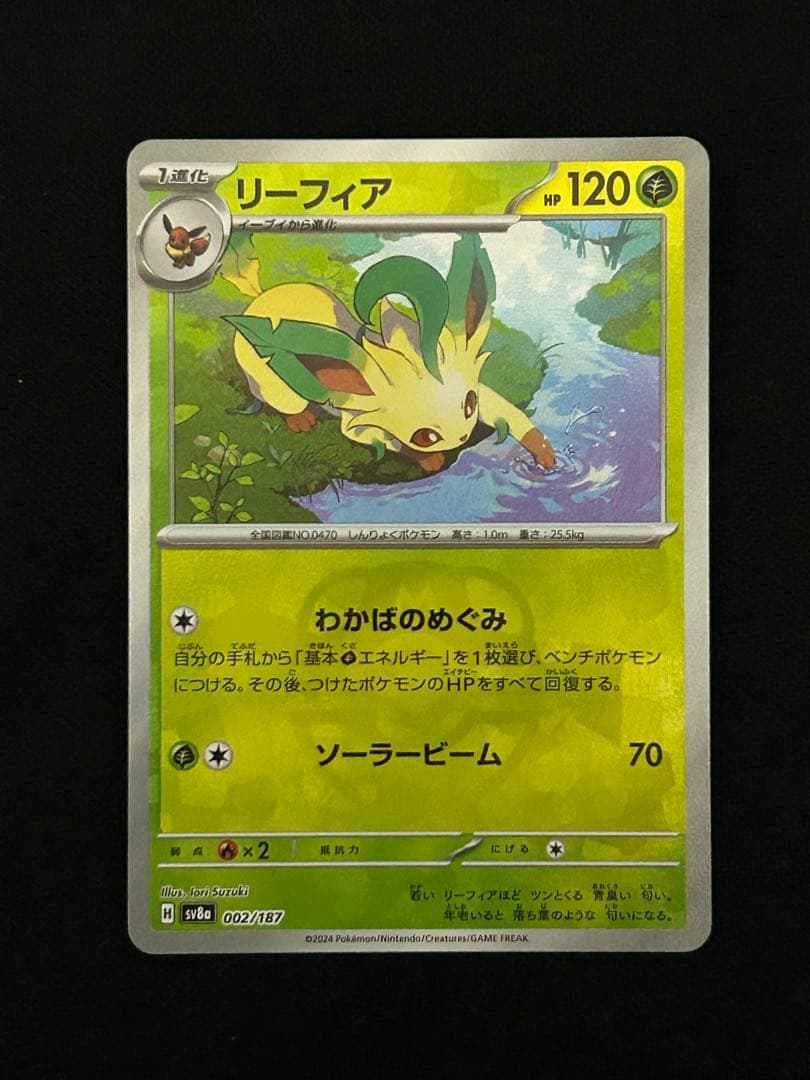 【極美品】テラスタルフェスex ブイズSAR マスターボールミラー　おまけ付き