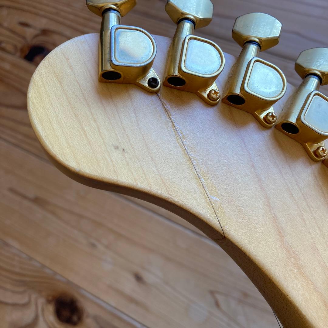 ZO-3 芸達者 トレモロアーム付　センドリターンケーブル付