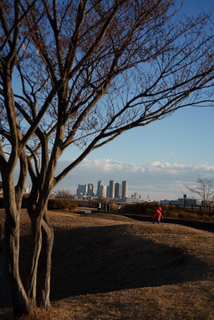 新品同様！Zeiss C Sonnar 50mm F1.5 ZM ライカM