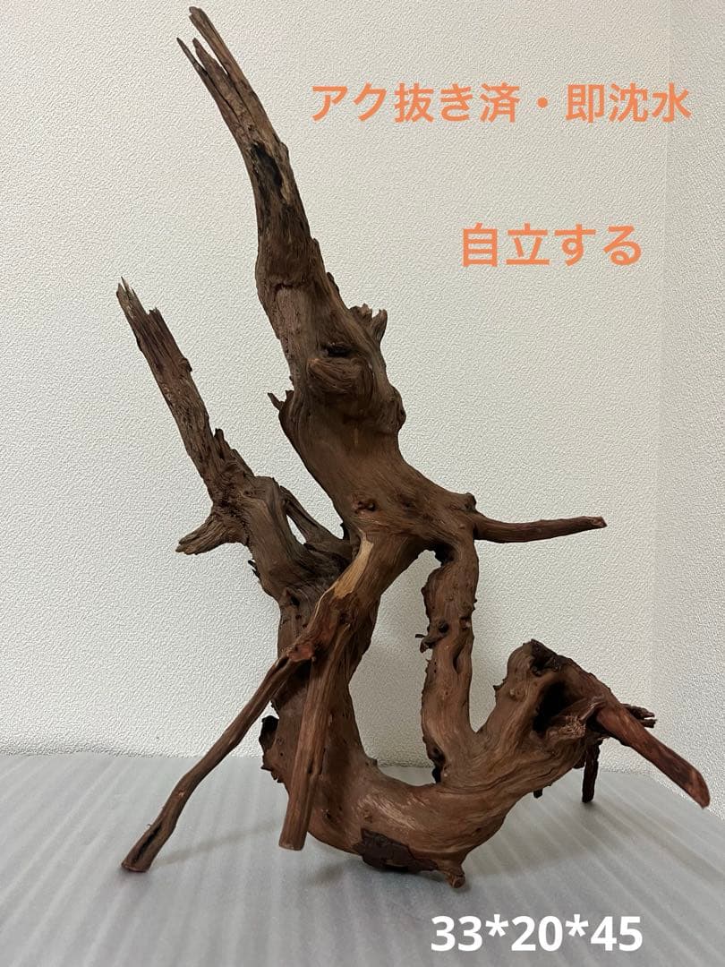 HX-076流木　ホーンウッド　マシンガンウッド　アクアリウム　ブランチウッド