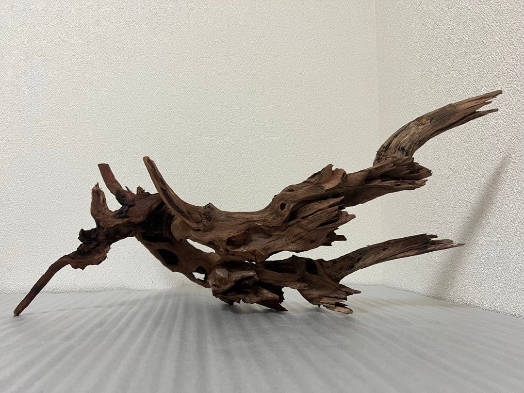 HX-076流木　ホーンウッド　マシンガンウッド　アクアリウム　ブランチウッド