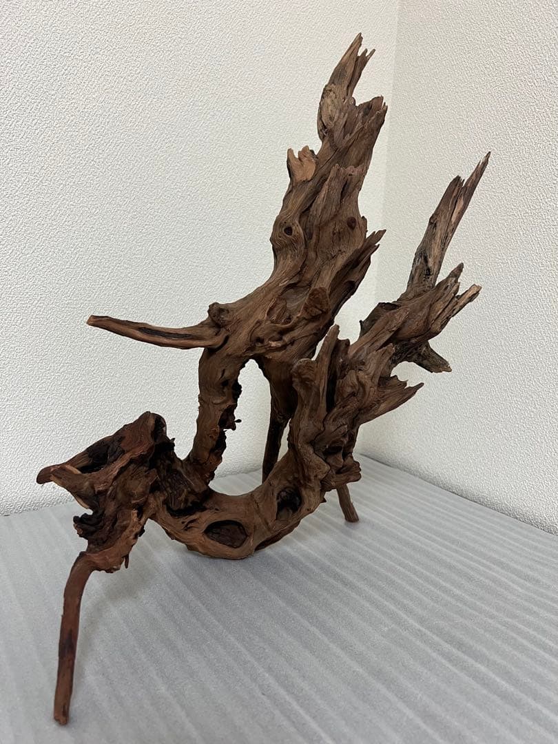 HX-076流木　ホーンウッド　マシンガンウッド　アクアリウム　ブランチウッド