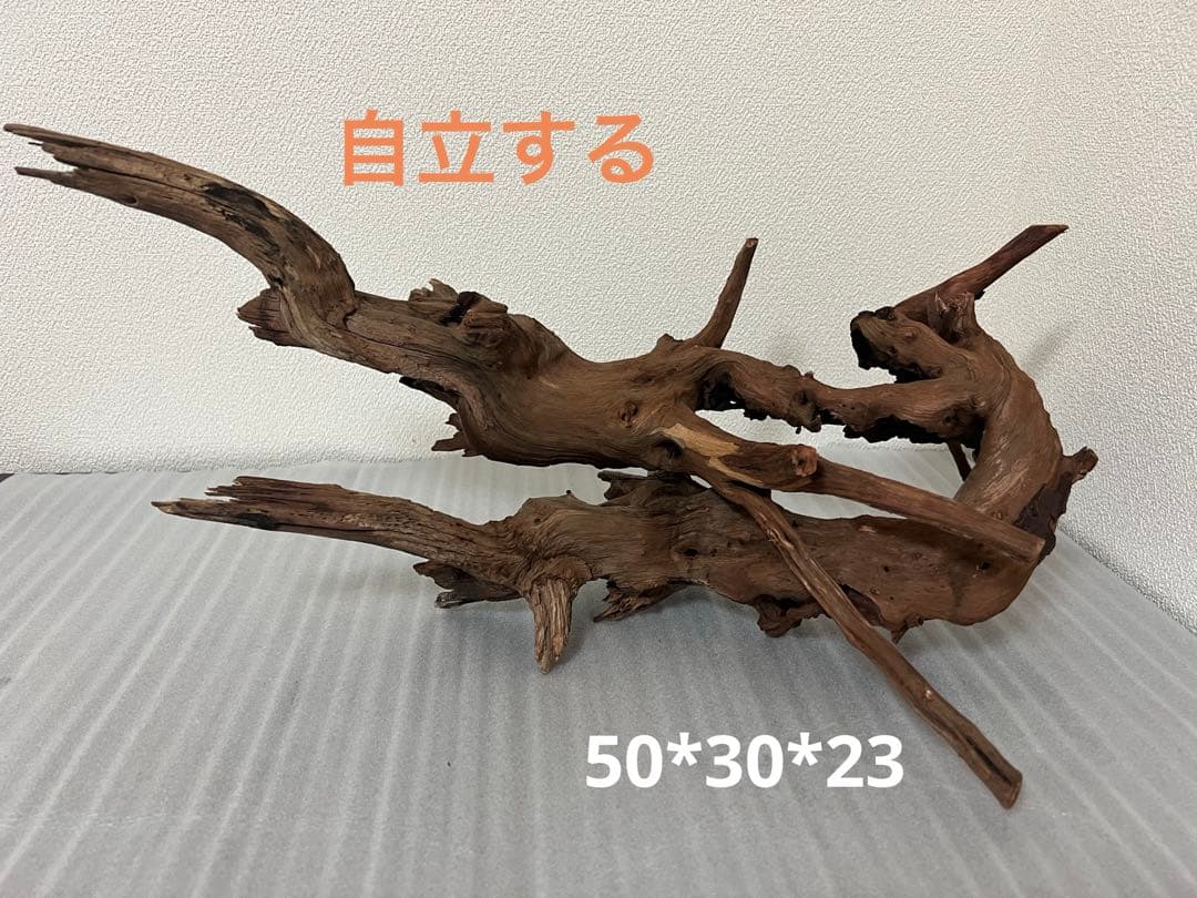 HX-076流木　ホーンウッド　マシンガンウッド　アクアリウム　ブランチウッド