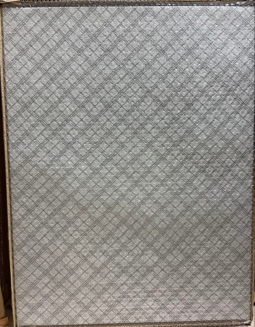 逆転裁判 20周年記念 額装グラフィックアート　大逆転裁判　塗和也　新品