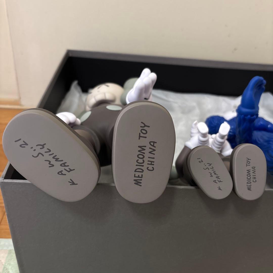 その他 kaws family brown