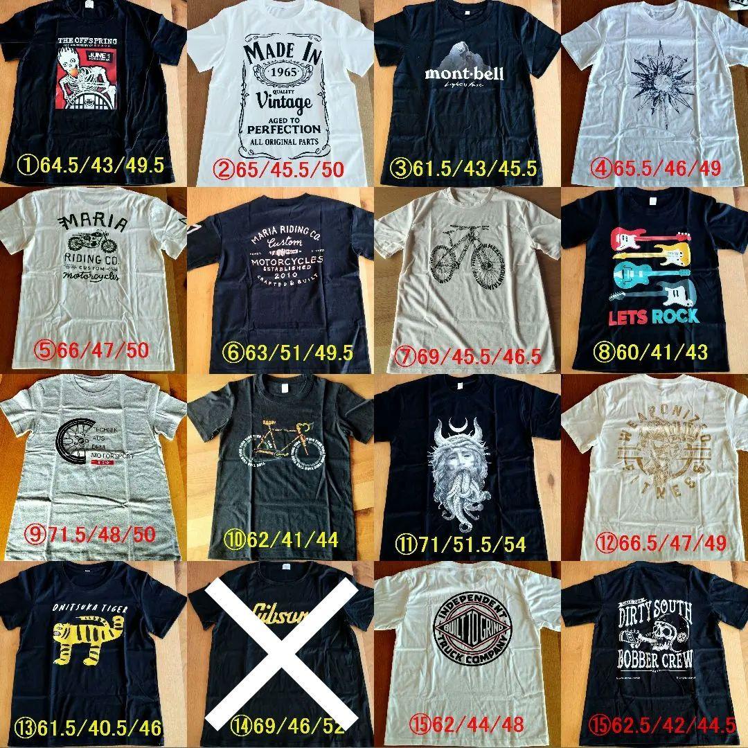 特典付付 新品 BACCHUS Global TACTICS24-STD/RSM