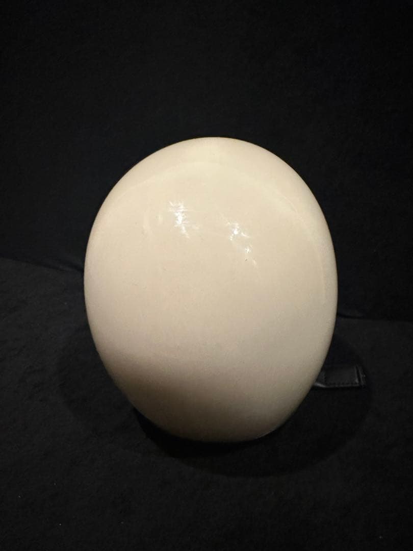 beetle LAC Lサイズ　アイボリー