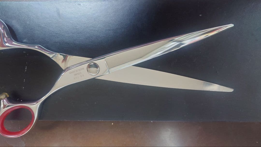 USTUMIハサミER700エルグ