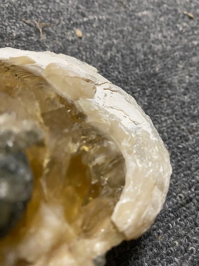 中身が結晶化した貝の化石