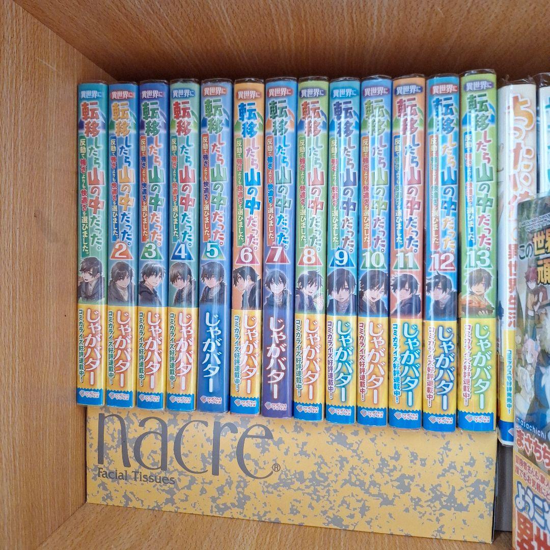 異世界に転移したら山の中だった。反動で強さよりも快適さを選びました 1~13