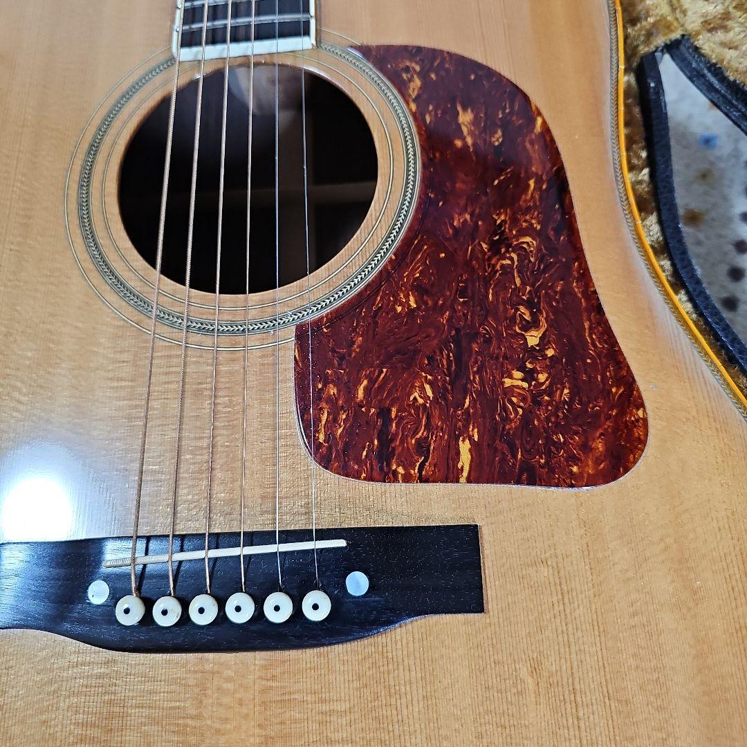 アリアGR-60,ヴィンテージ1975年製トップバック単板! ハードケース付き