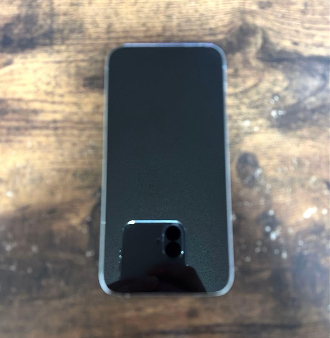 Apple iPhone 13 Pro シルバー 本体　美品