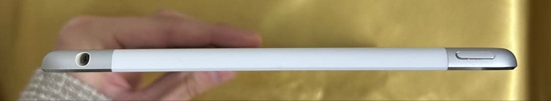 iPad mini 第4世代　128GB Wi-Fi + Cellular