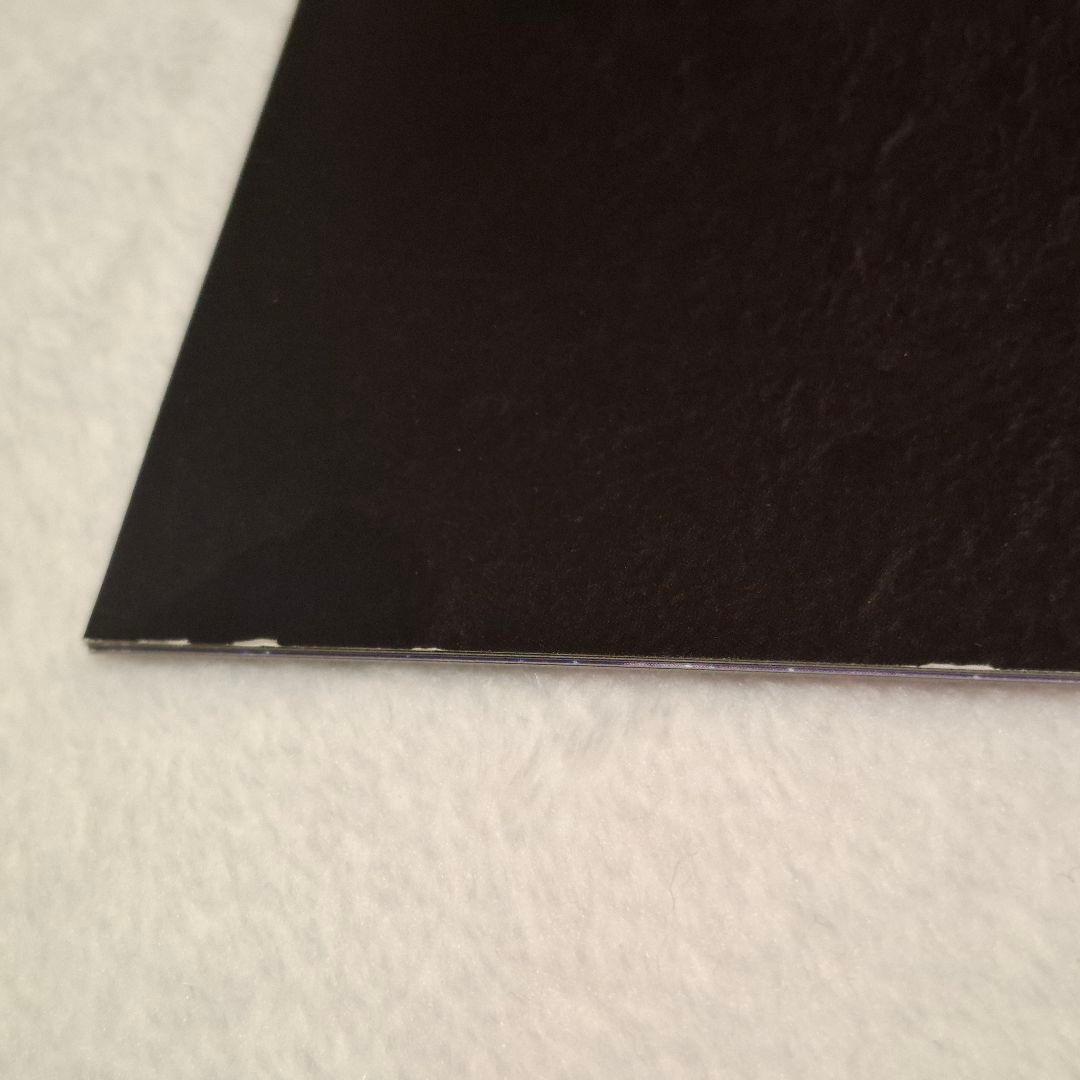 真天地開闢集団 ジグザグ ベレボ 会報