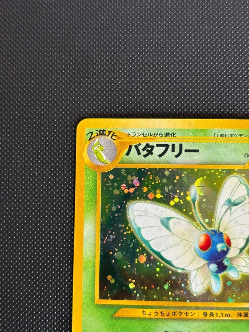 旧裏　極上美品　バタフリー ★ 拡張パック第2弾 遺跡をこえて　センタリング良