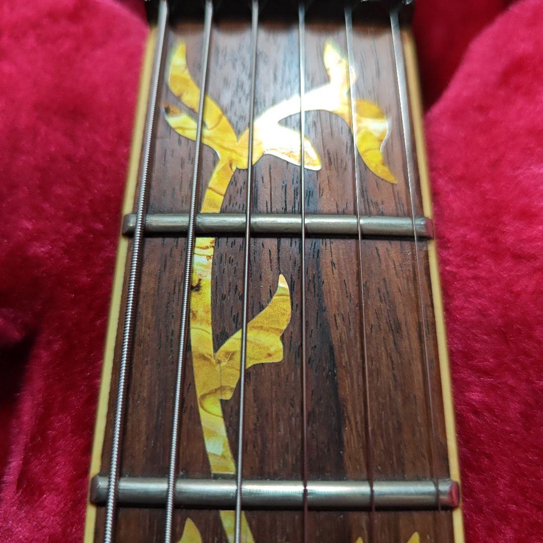 ギター Ibanez RGT6EX2