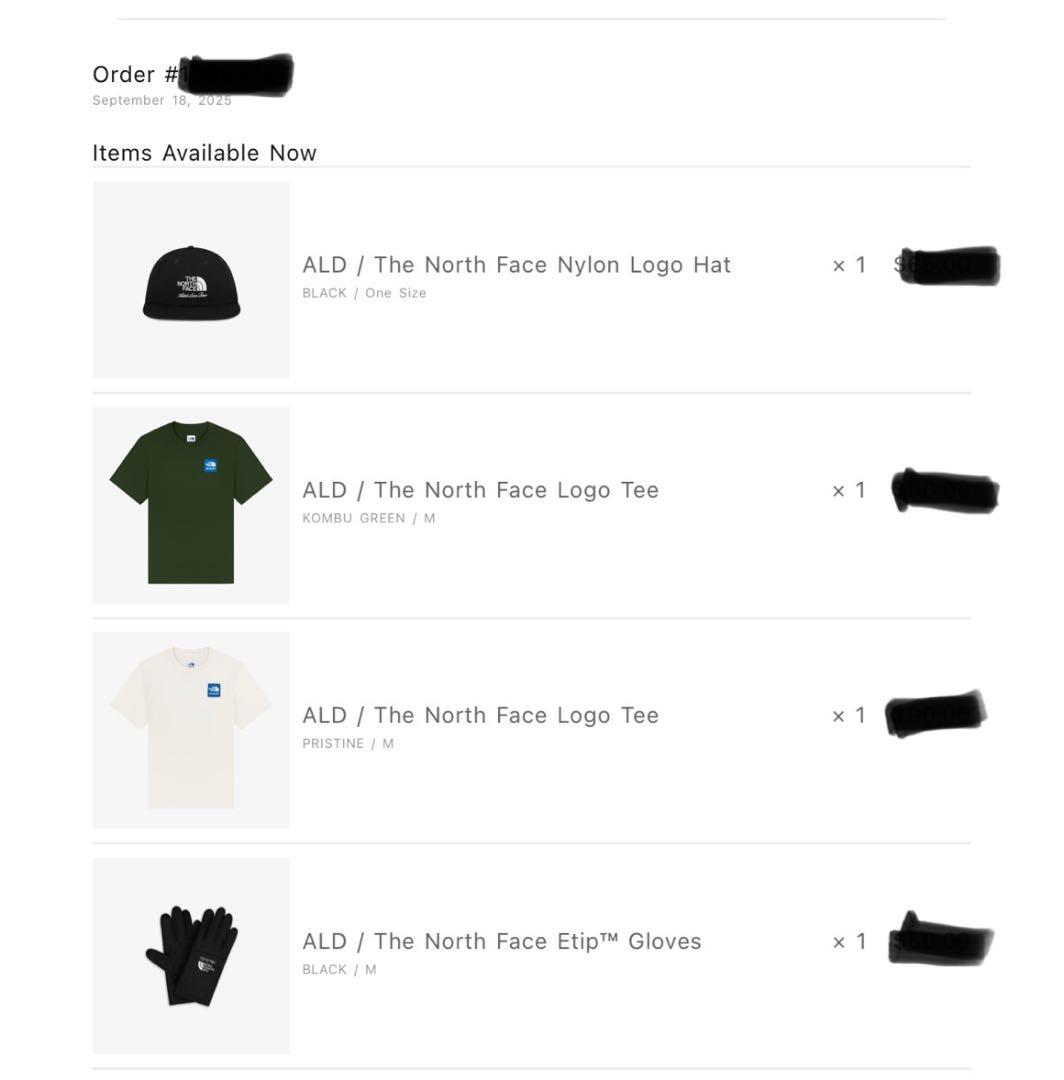 THE NORTH FACE Nylon Logo Hat ブラック