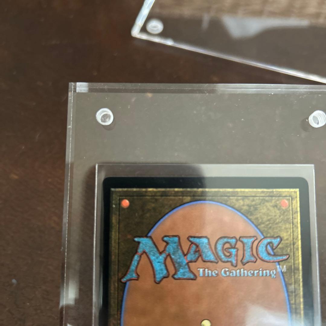 MTG 大召喚士、ユウナ 日本語 サージ foil ボーダーレス 1枚